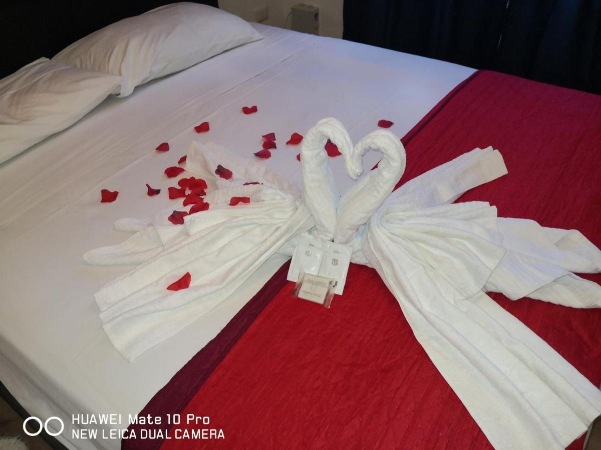 Trastevere Four Seasons Glorioso — Photos 2